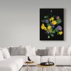 Trademark Fine Art Susan S. Barmon 'Pansies 1' Canvas Art, 18x24 ALI34365-C1824GG